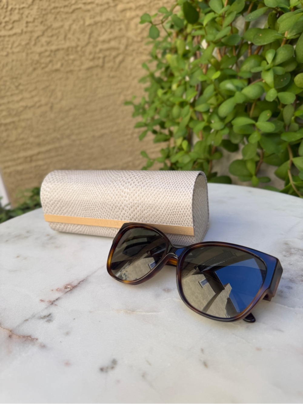 Jimmy Choo Anahi Brown Havana Butterfly Frame Sunglasses